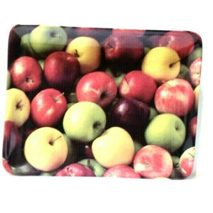 Starbucks Coffee Apple Images Fruit Cheese Serving Tray 9" x 7" Ceramic Plate EC